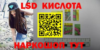 дживик Можга