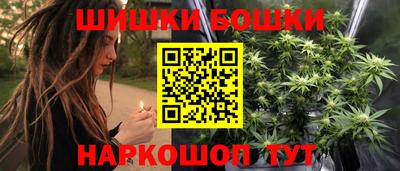 дживик Можга