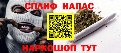дживик Можга