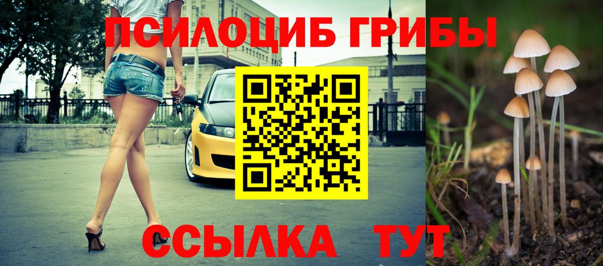 Псилоцибиновые грибы мицелий Сосновоборск